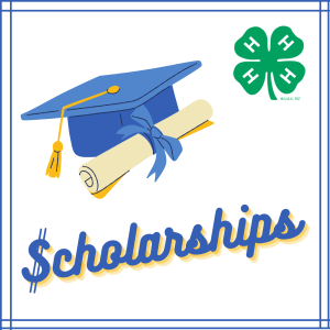 "Scholarships" with 4-H logo and clipart image of diploma