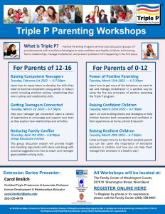 Image of Washington County Extension Triple P Parenting Workshops Flyer