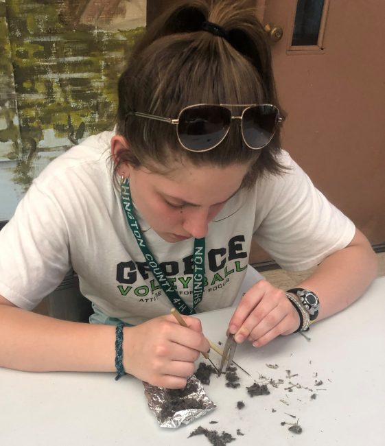 girl using tools to examine items from nature