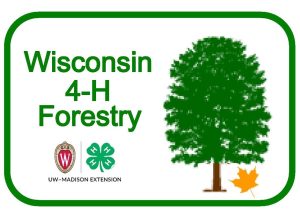 WI 4-H Forestry logo