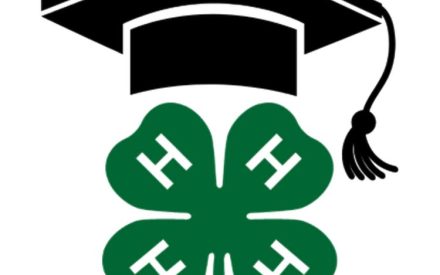 4-H clover logo with graduation cap