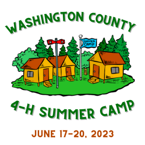 Washington County 4-H Summer Camp June 17-20, 2023