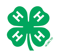 image of 4-H  4 leaf clover logo