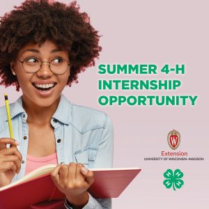 4-H summer intern position available