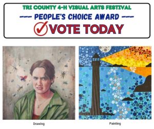 Vote online for People’s Choice: 2023 Tri-County 4-H Visual Arts Festival