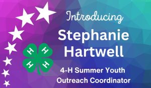 New 4-H Summer Outreach Coordinator