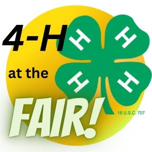 Sign up for a shift at the 4-H Booth during the 2023 Washington County Fair