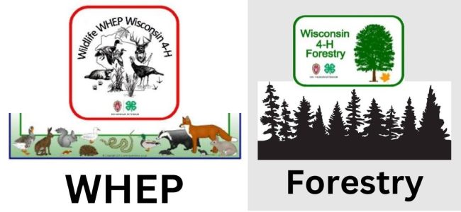 Wildlife WHEP Wisconsin 4-H, and Wisconsin 4-H Forestry logos