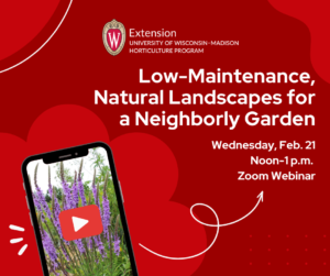 A graphic containing event information for a free online program on low-maintenance and natural landscapes, scheduled for Feb. 21, 2024 from noon-1 p.m