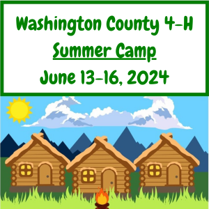 Washington County 4-H Summer Camp, June 13-16, 2024