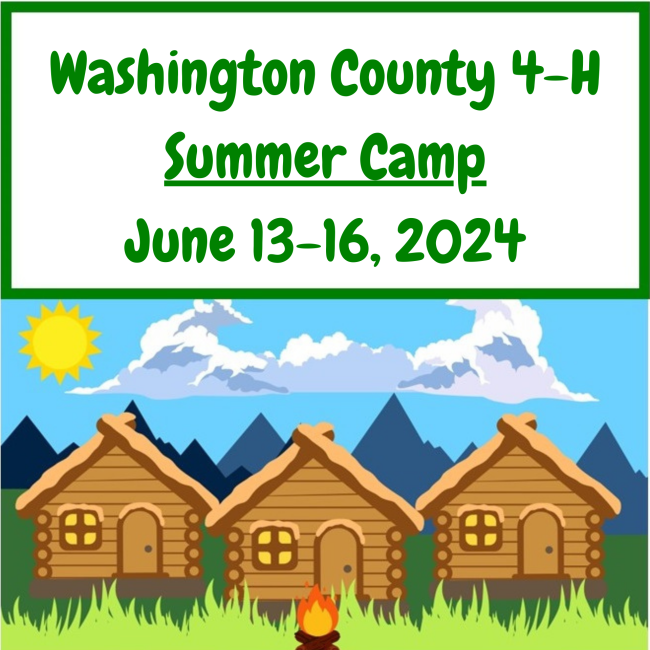 Attention 4-H Summer Camp families – Extension Washington County