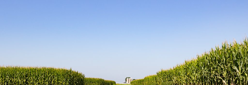 farm field