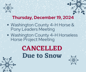 Cancelled: tonight’s Horse & Pony/Horseless Horse meetings