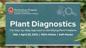 Plant Diagnostics: The Step-by-Step Approach to Identifying Plant Problems