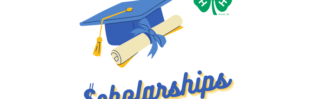The word "Scholarships" with decorative graphics