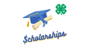 The word "Scholarships" with decorative graphics