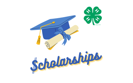 The word "Scholarships" with decorative graphics