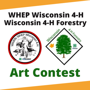 Art Contest: 4-H Wildlife & Forestry