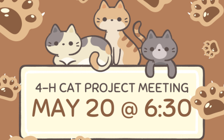 4-H Cat Project meets May 20