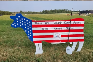 Cows on Parade – reminder to deliver your cows today or tomorrow