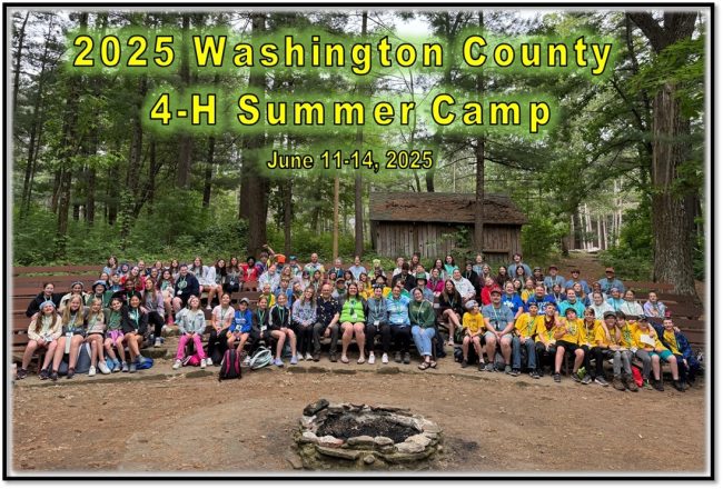 A large group of people, mostly children and teenagers, are seated on wooden benches in an outdoor setting surrounded by trees. They are posing for a group photo at the 2025 Washington County 4-H Summer Camp, which takes place from June 11-14, 2025. The text '2025 Washington County 4-H Summer Camp' and 'June 11-14, 2025' is prominently displayed at the top of the image in bright yellow letters. In the background, there is a rustic wooden cabin among tall trees. The foreground features a stone fire pit.