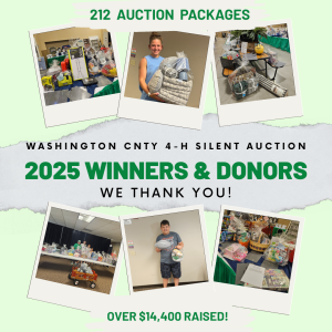 THANK YOU 4-H Silent Auction Rockstars!