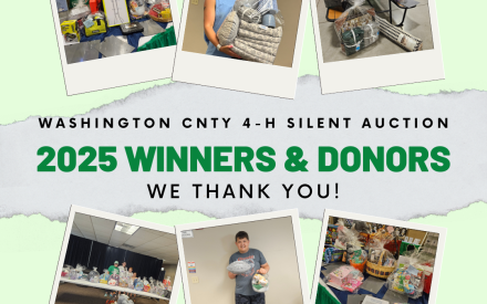 THANK YOU 4-H Silent Auction Rockstars!