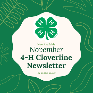 November Cloverline 4-H newsletter now posted