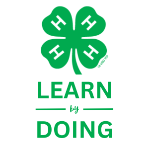 4-H Family Orientation: Focus on Record Books