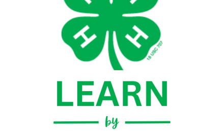 4-H Family Orientation: Focus on Record Books