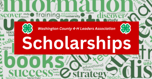Apply for a Washington County 4-H Leaders Board Scholarship