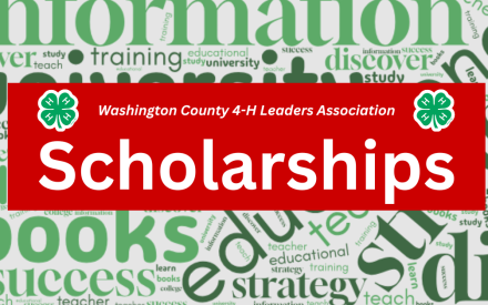Apply for a Washington County 4-H Leaders Board Scholarship