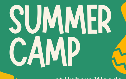 Registration for Washington County 4‑H Summer Camp 2026 is now open