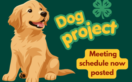 4-H Dog Project Meeting Schedule