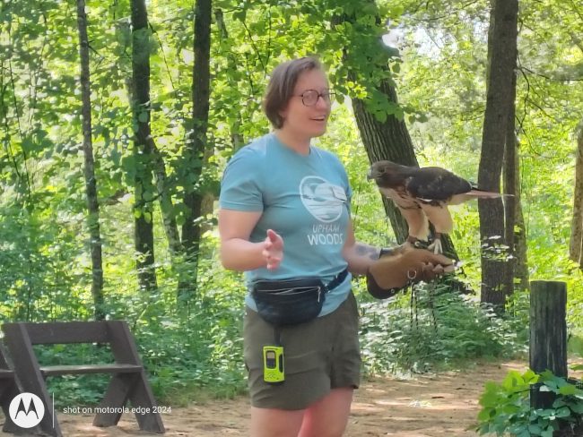 woman holding hawk