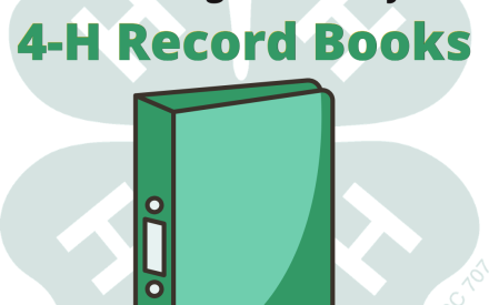 4-H Record Book Review: help needed