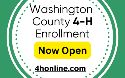 Washington County 4-H Enrollment Now Open 4honline.com