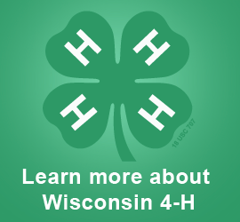 Learn more about Wisconsin 4-H